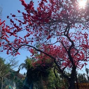 Meet your Posher, Cat